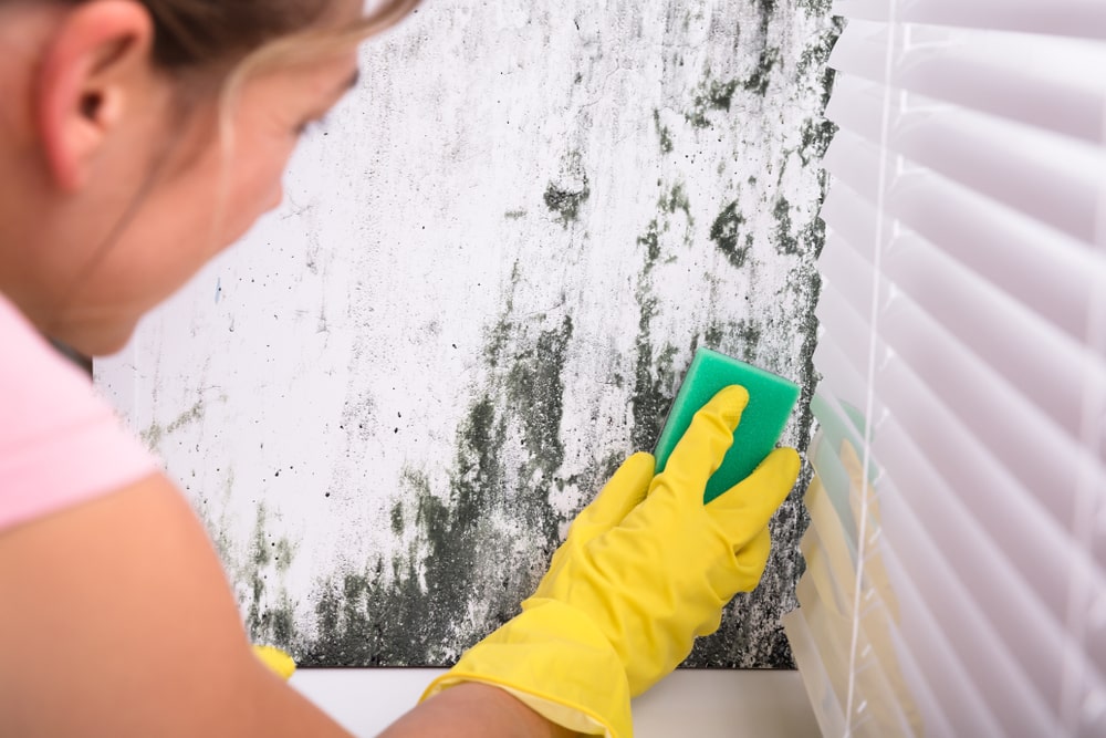 Comment nettoyer les taches d’humidité sur un mur blanc 